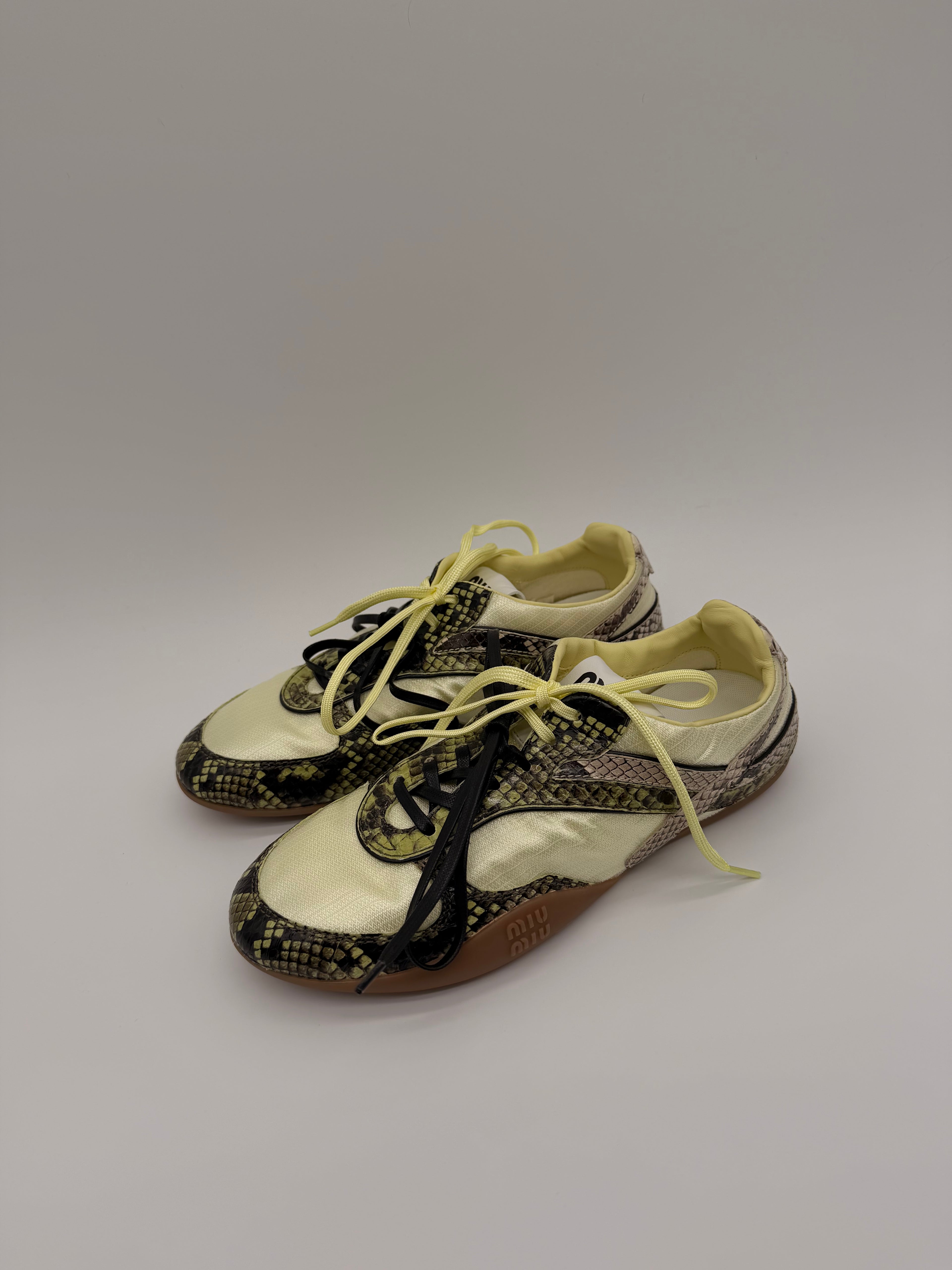 Miu Miu Gymnasium Pyton Print