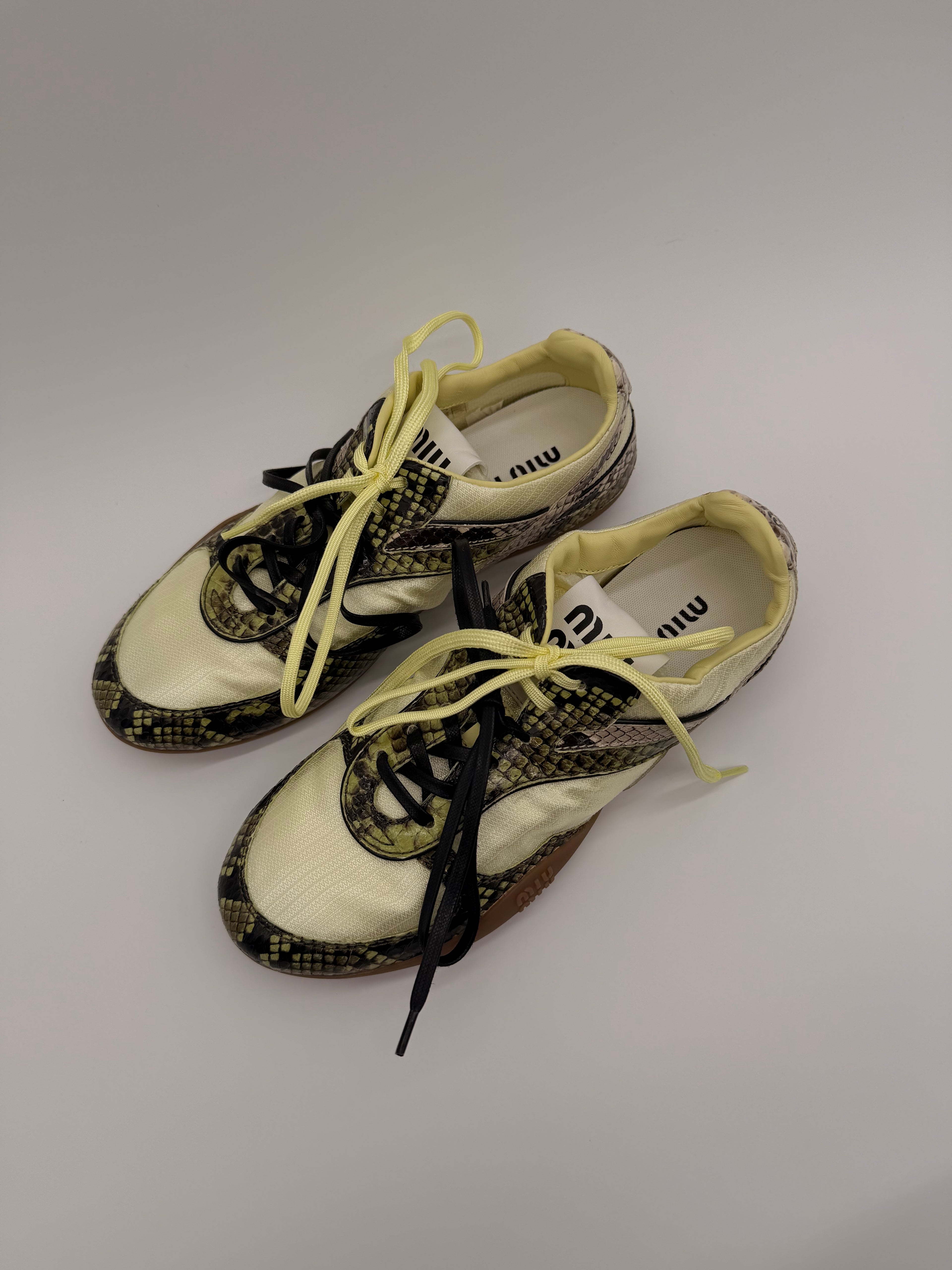 Miu Miu Gymnasium Pyton Print