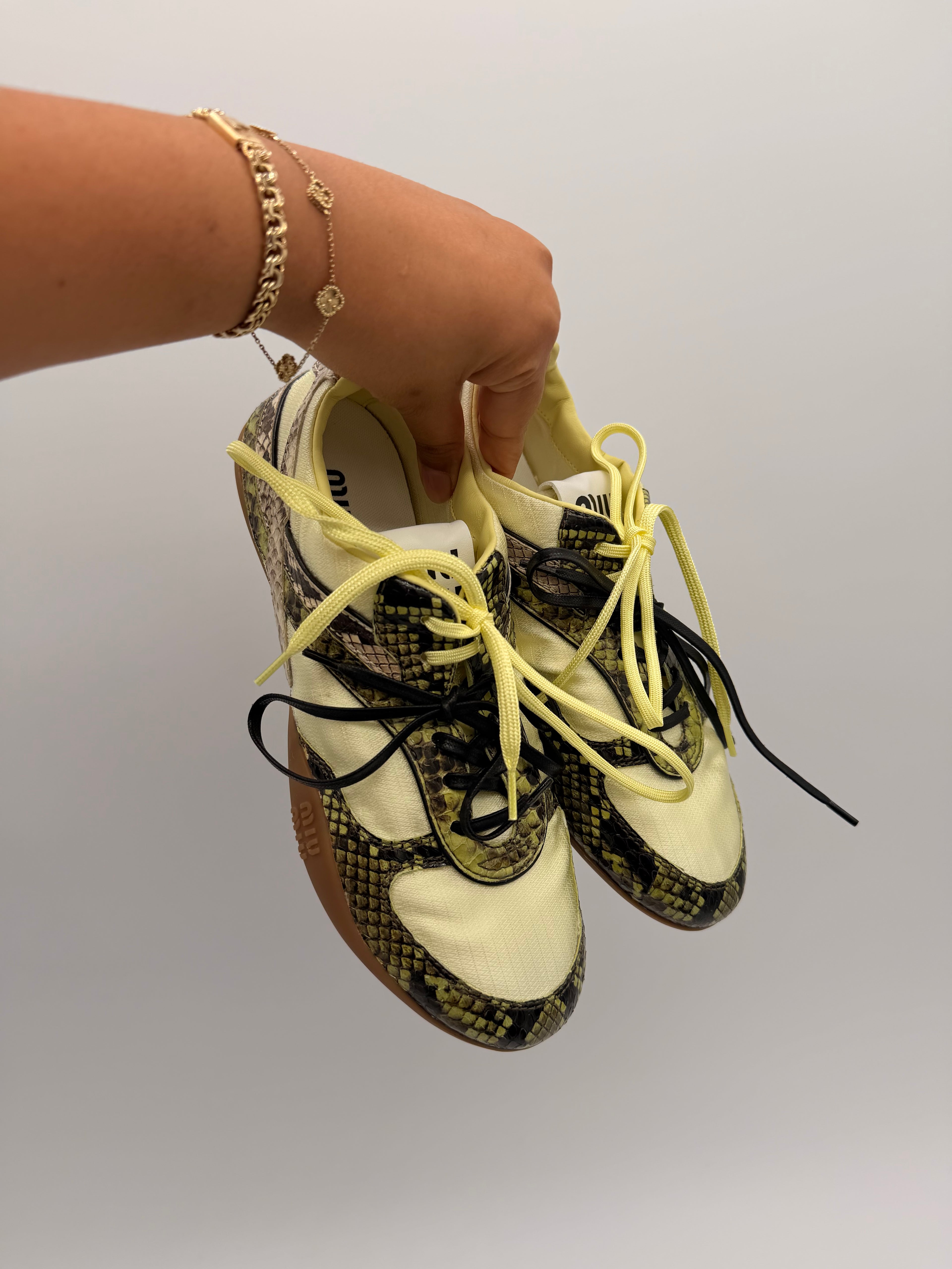 Miu Miu Gymnasium Pyton Print