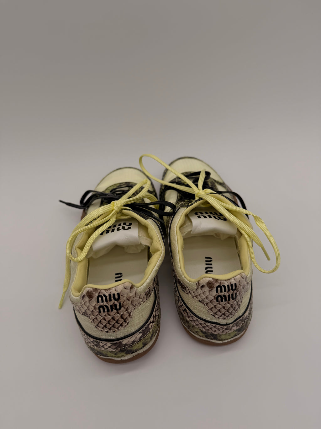 Miu Miu Gymnasium Pyton Print